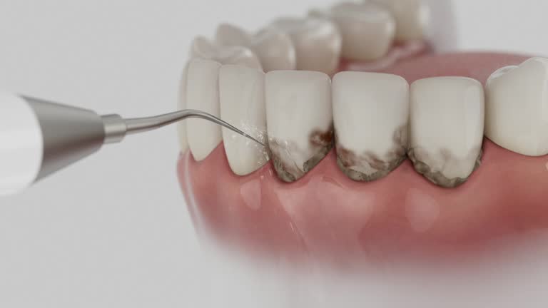 Reliable Dental contractor in Clermont, IN by Dentist Open Now
